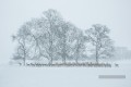 photographie réaliste 09 paysage d’hiver cerf